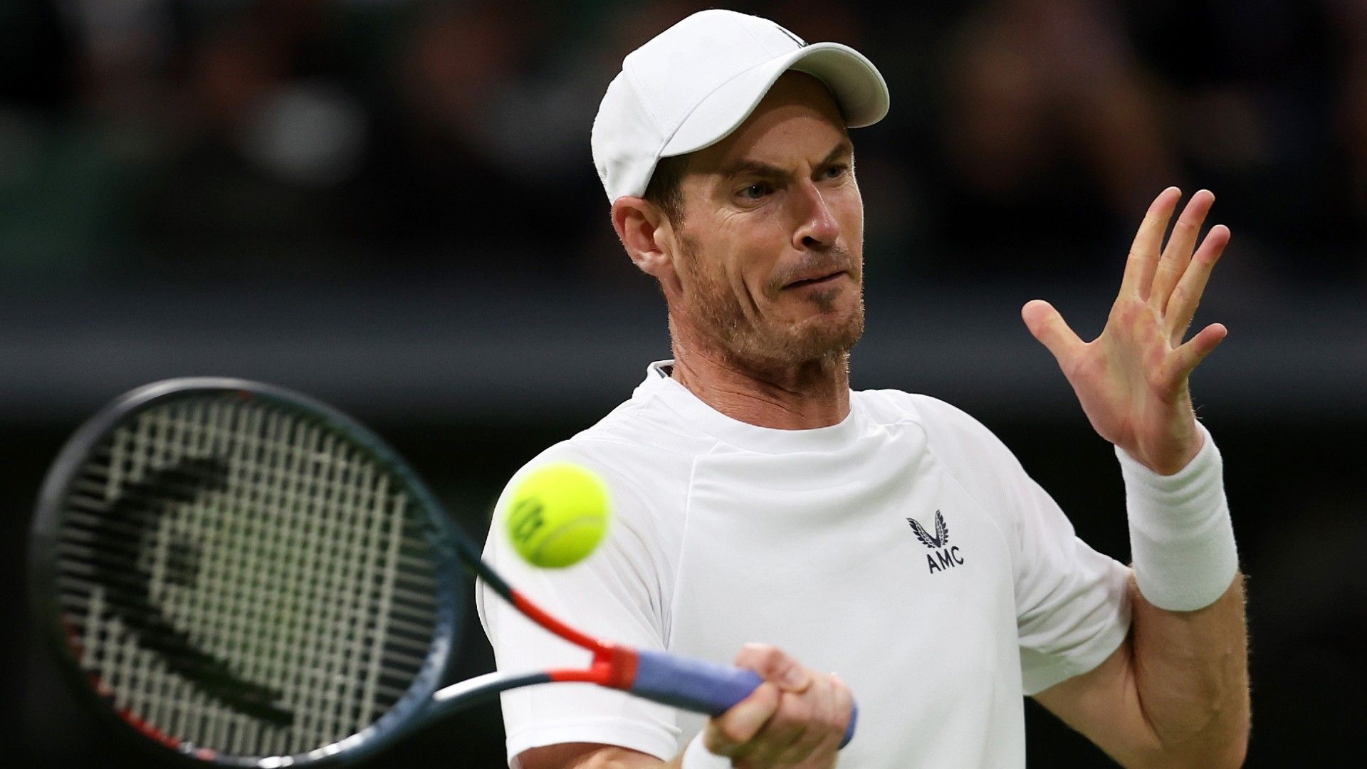 Andy Murray Wimbledon 2022