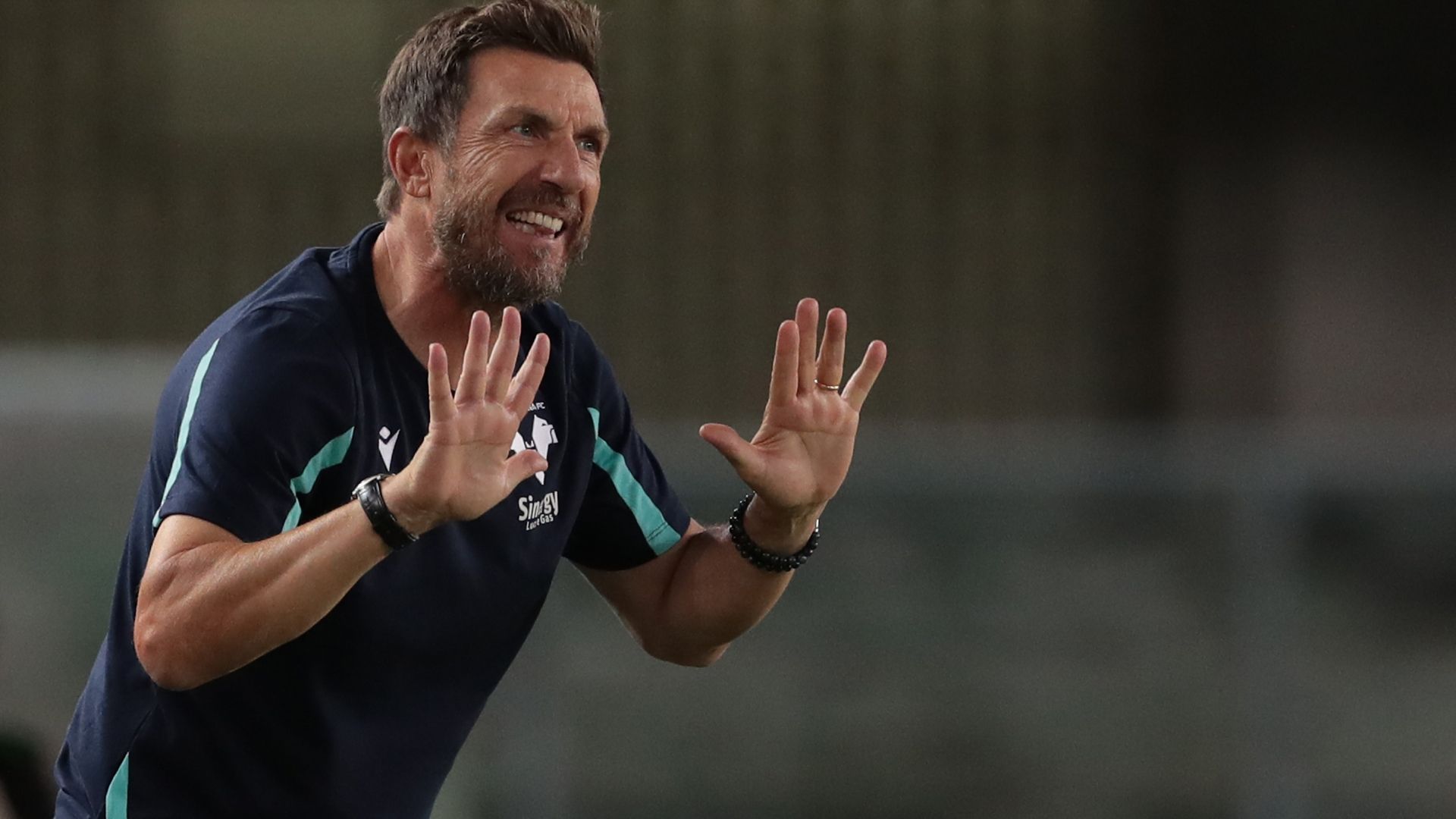 Di Francesco Verona Serie A