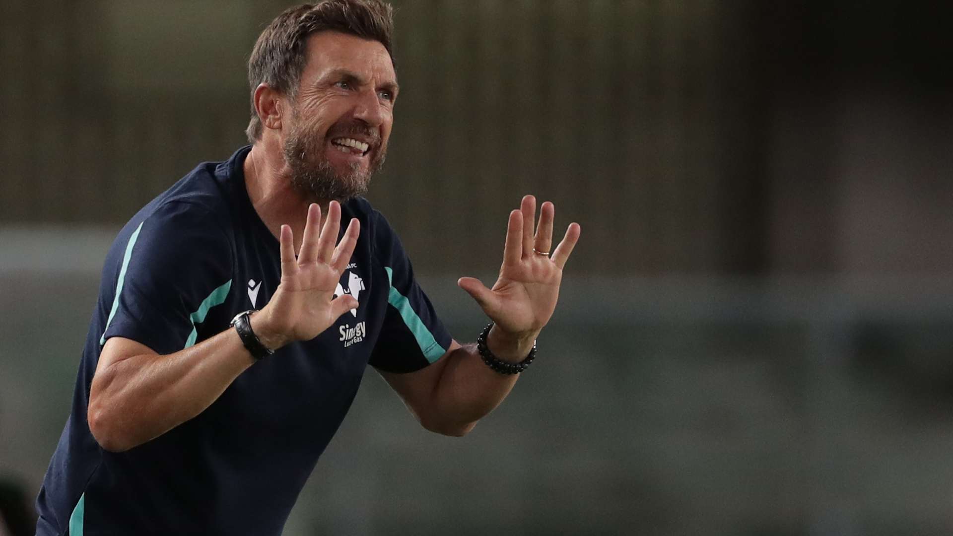 Di Francesco Verona Serie A