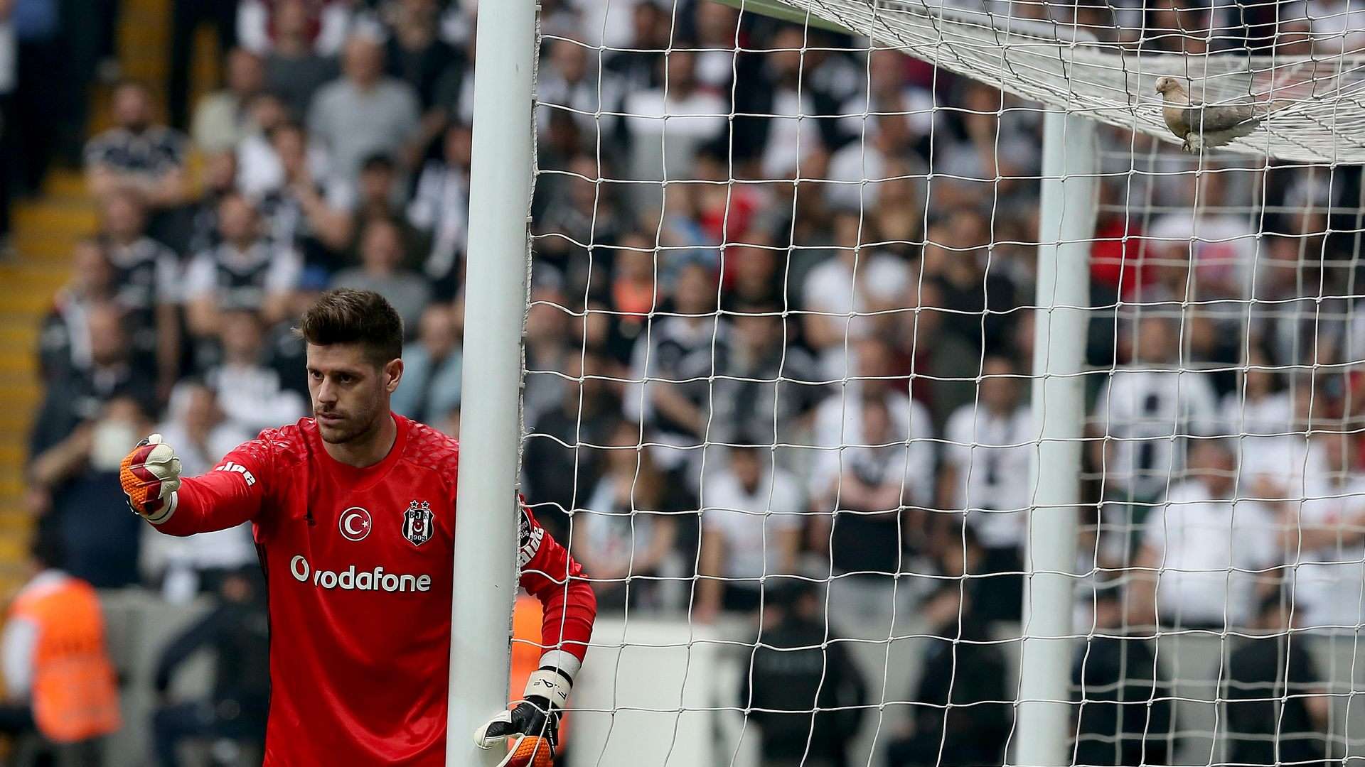 Besiktas Fenerbahce STSL 05072017