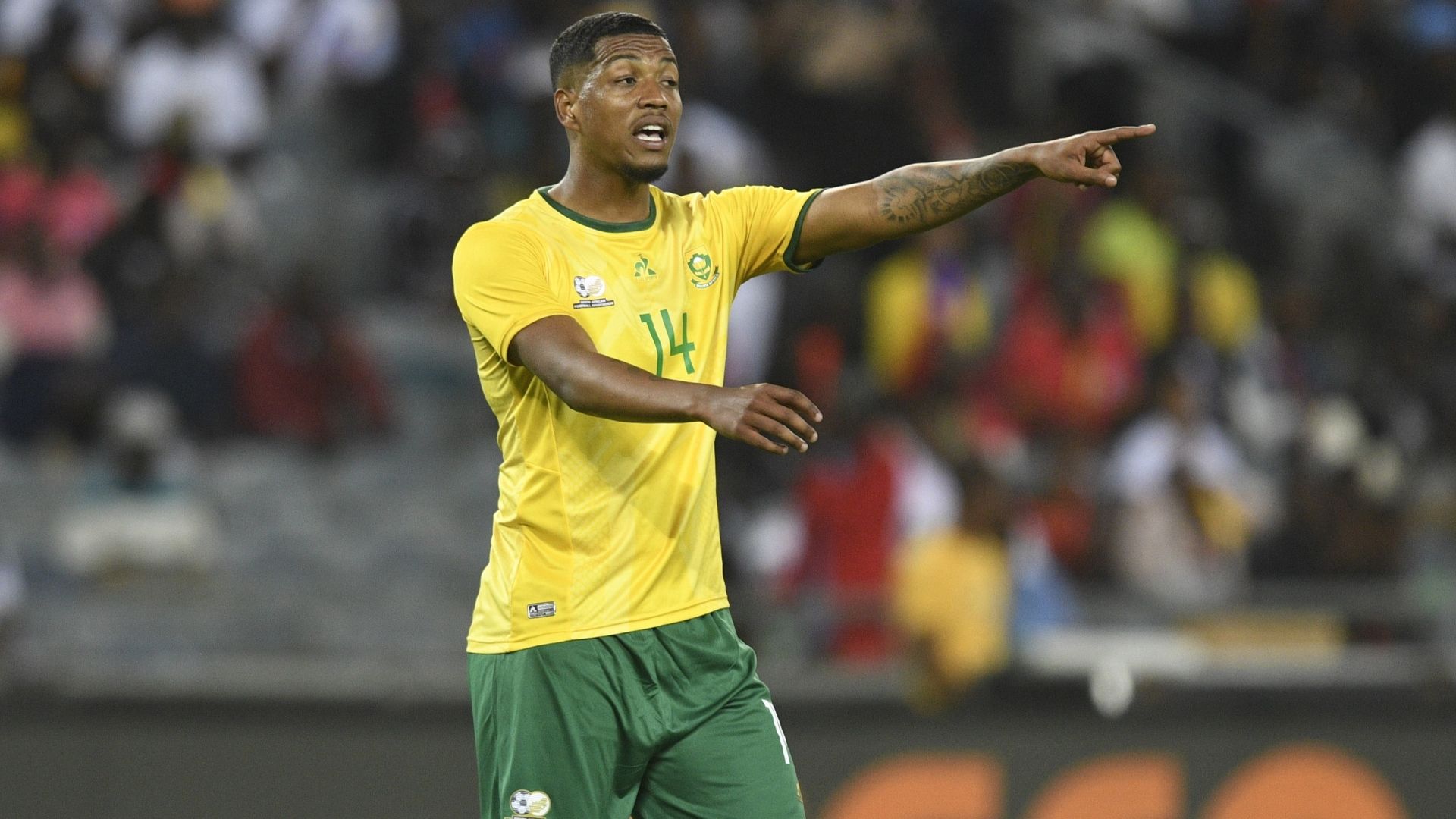 Rushwin Dortley, Bafana Bafana