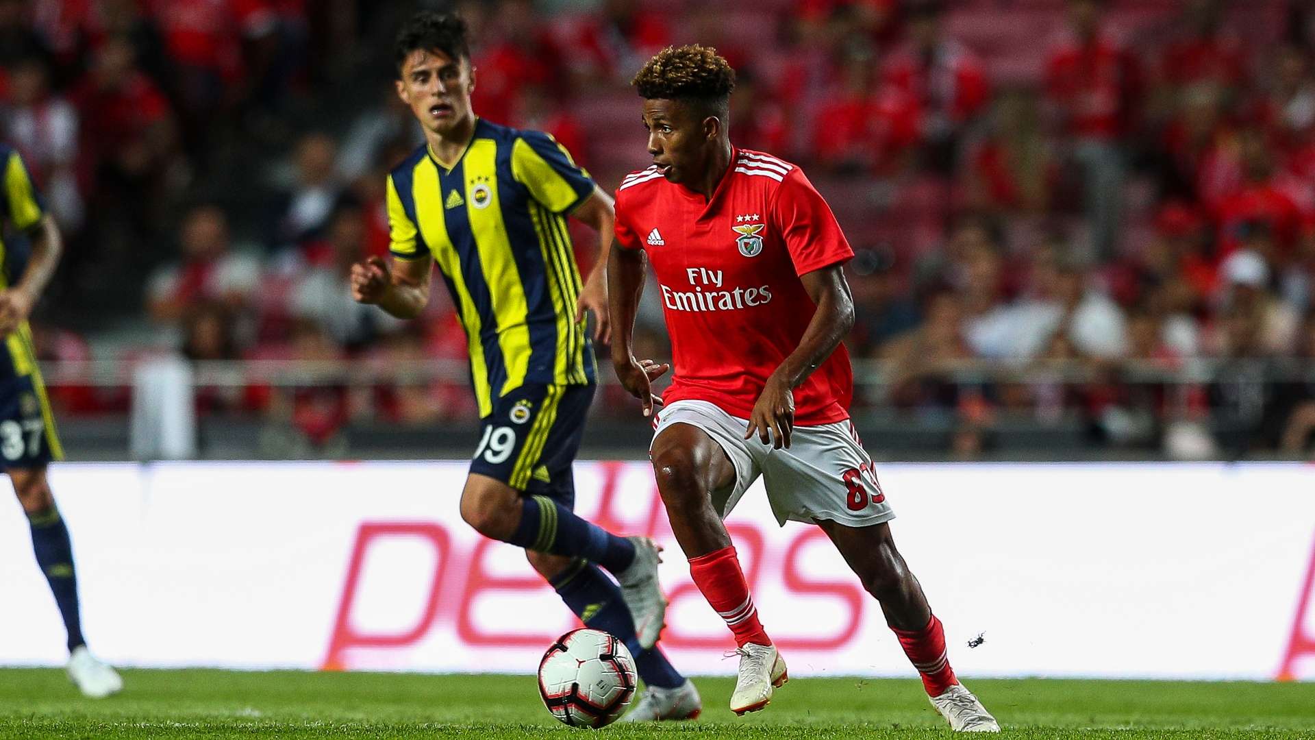 Gedson Fernandes Benfica