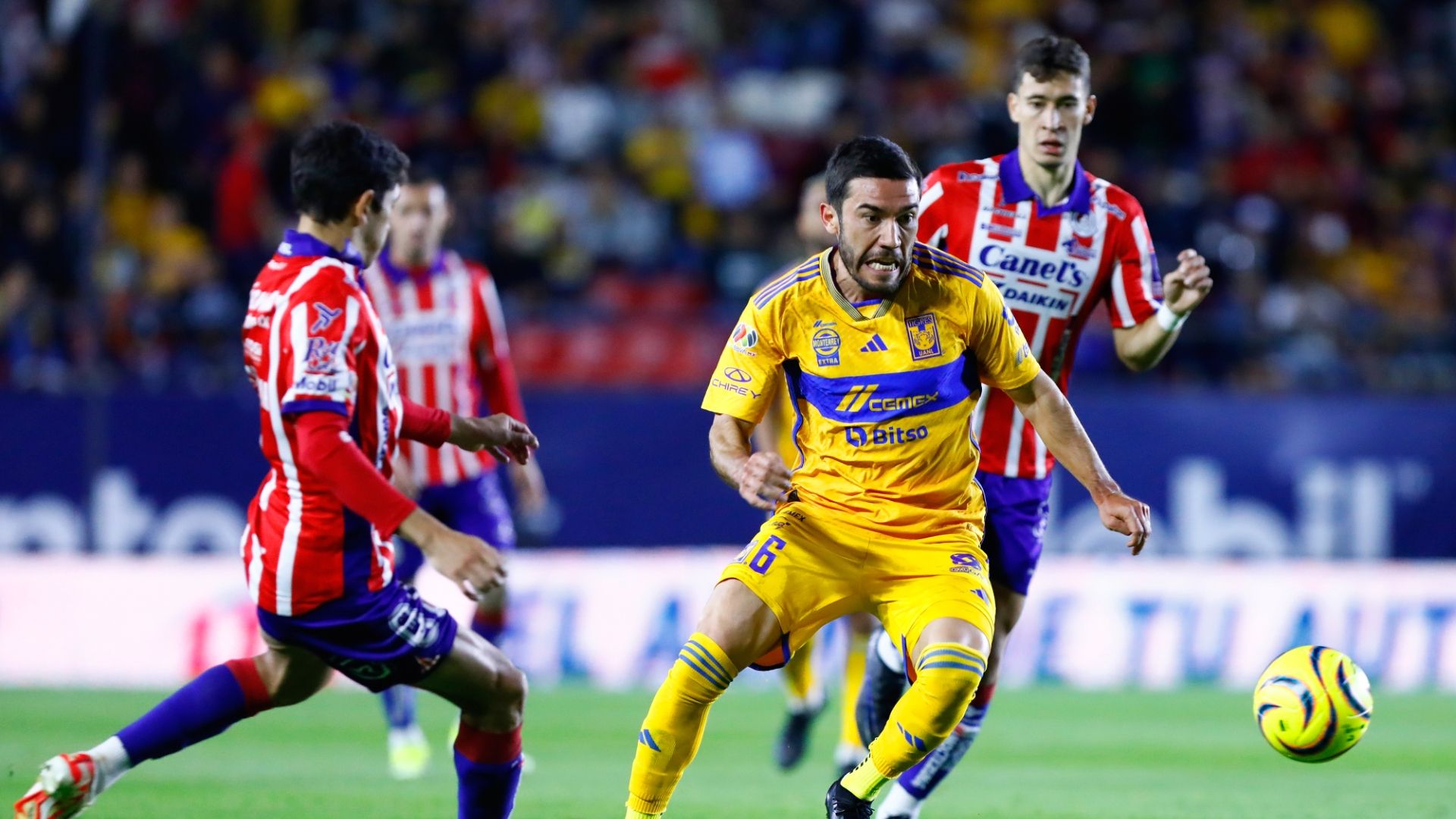 Tigres Atlético San Luis Clausura 2024 Liga MX