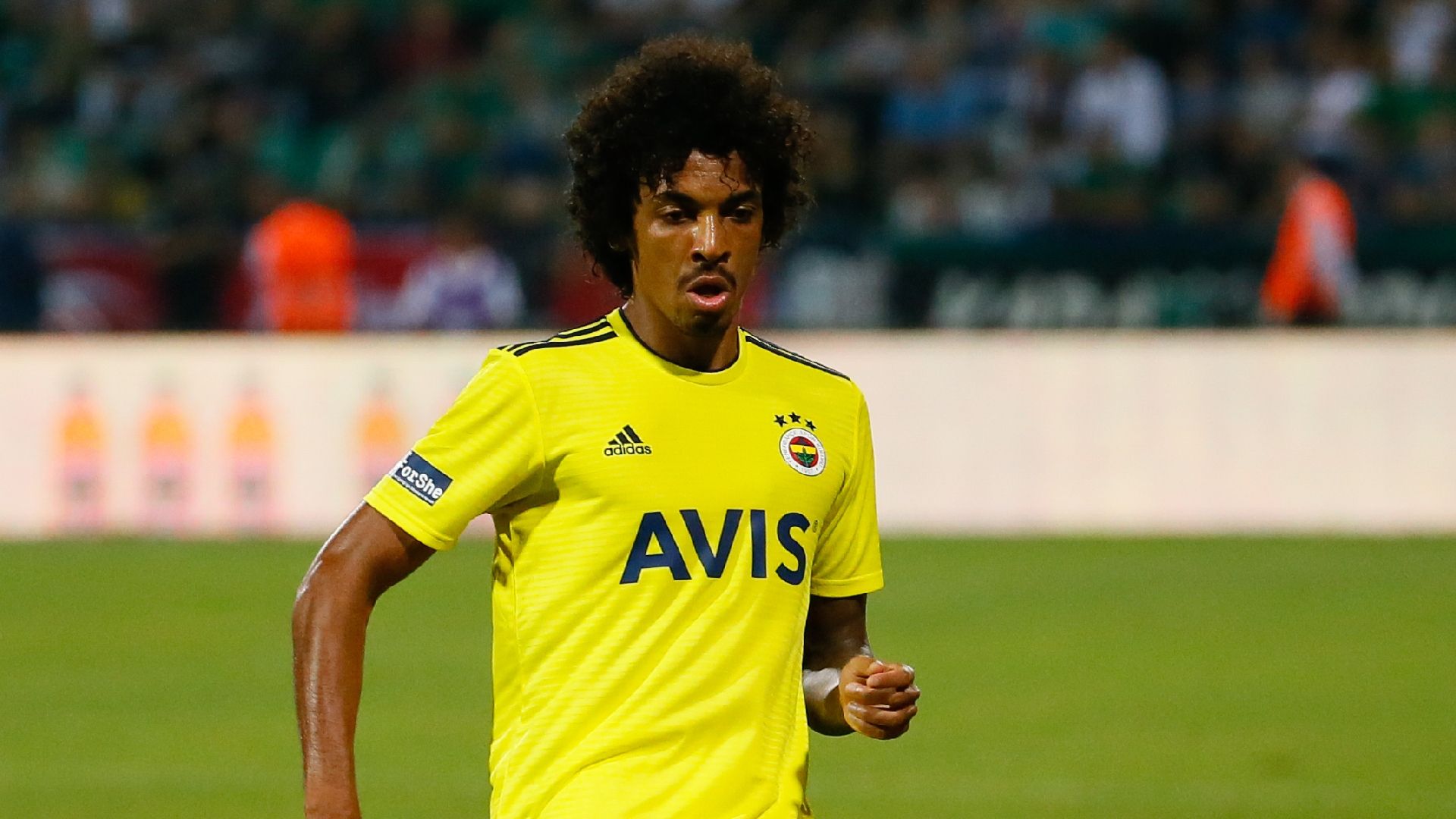 Luis Gustavo Fenerbahce 20102019