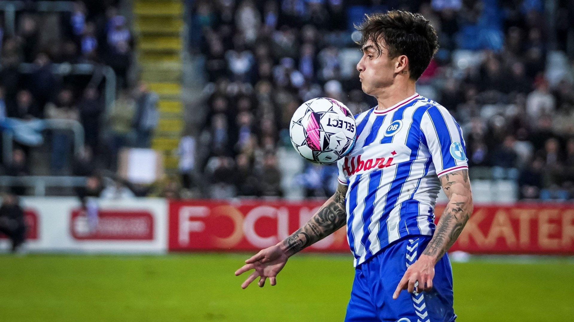 นิโคลัส มิคเกลสัน