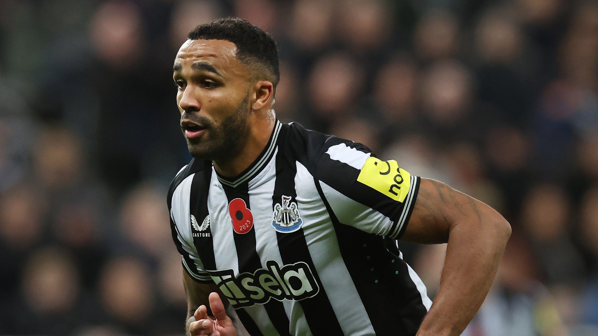 Callum Wilson 2023-24