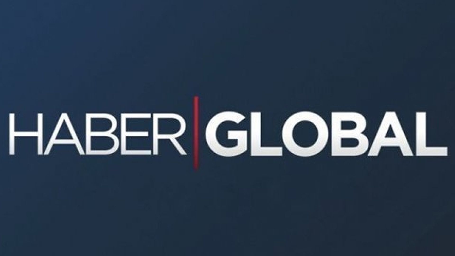 Haber Global logo