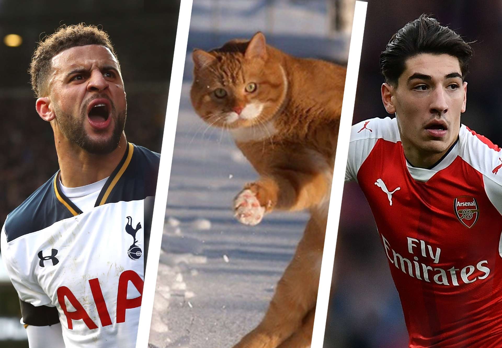 Kyle Walker Catinho Hector Bellerin