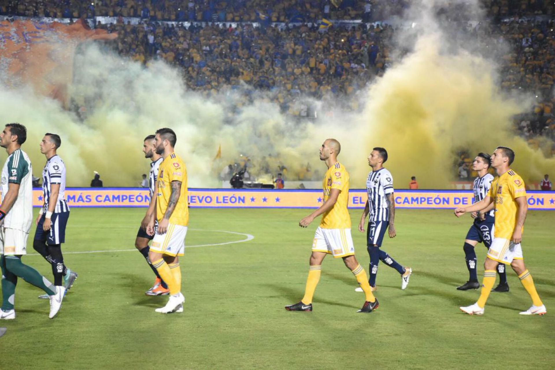 Tigres Rayados