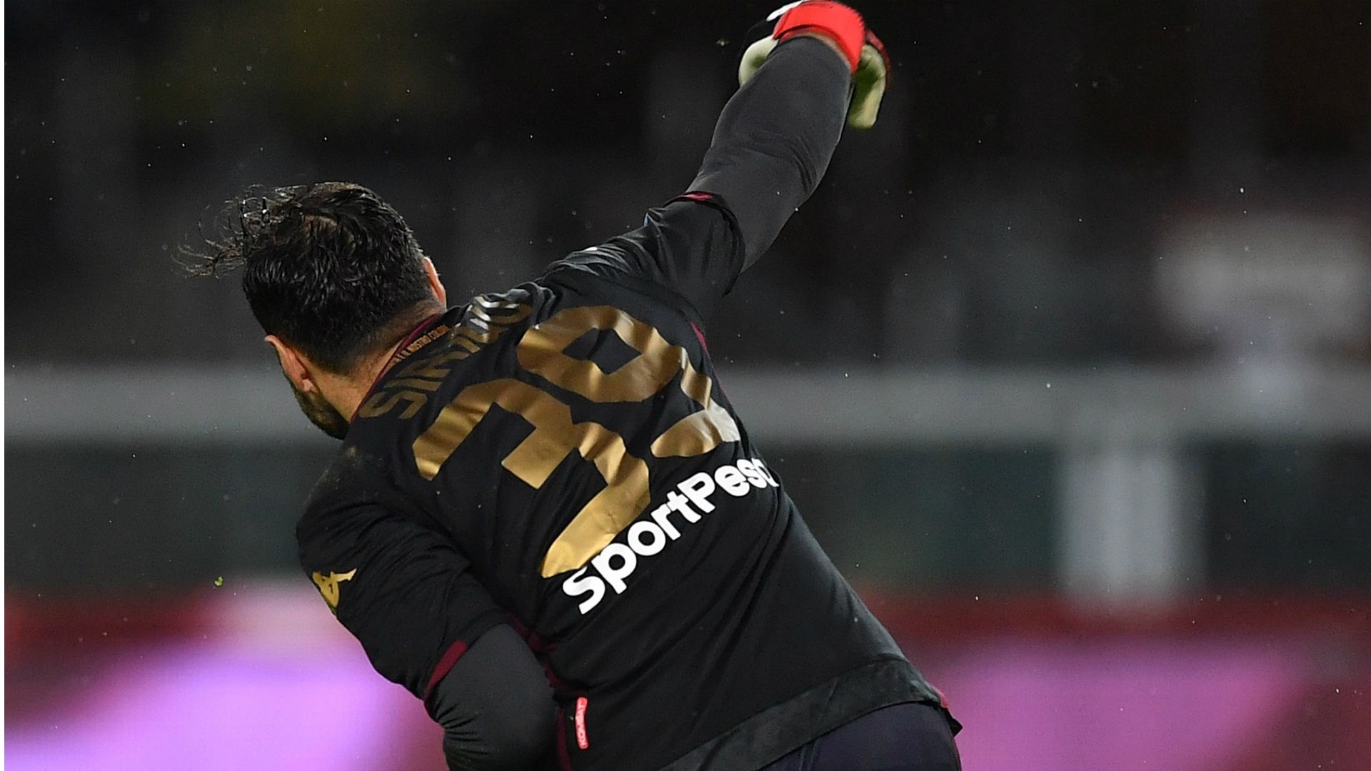 Salvatore Sirigu Torino Serie A