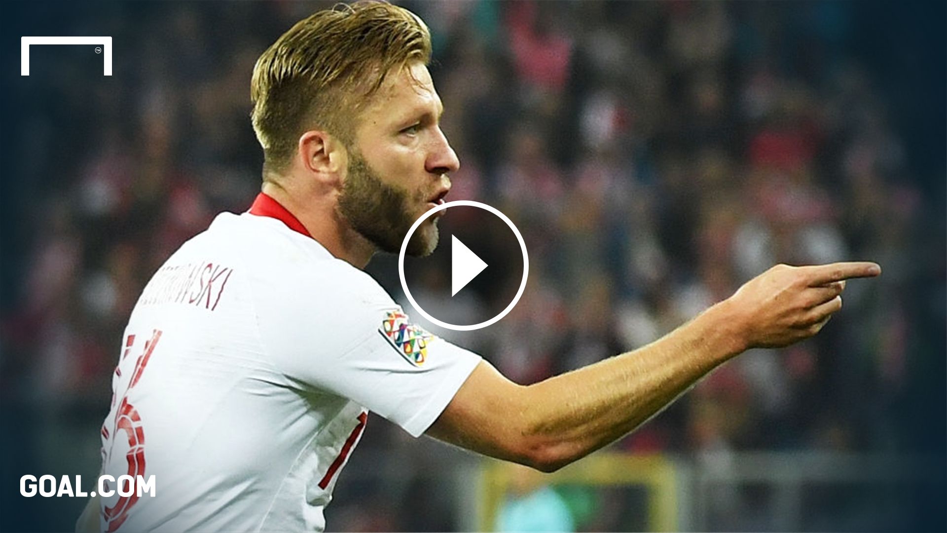 GFX Jakub Blaszczykowski Poland