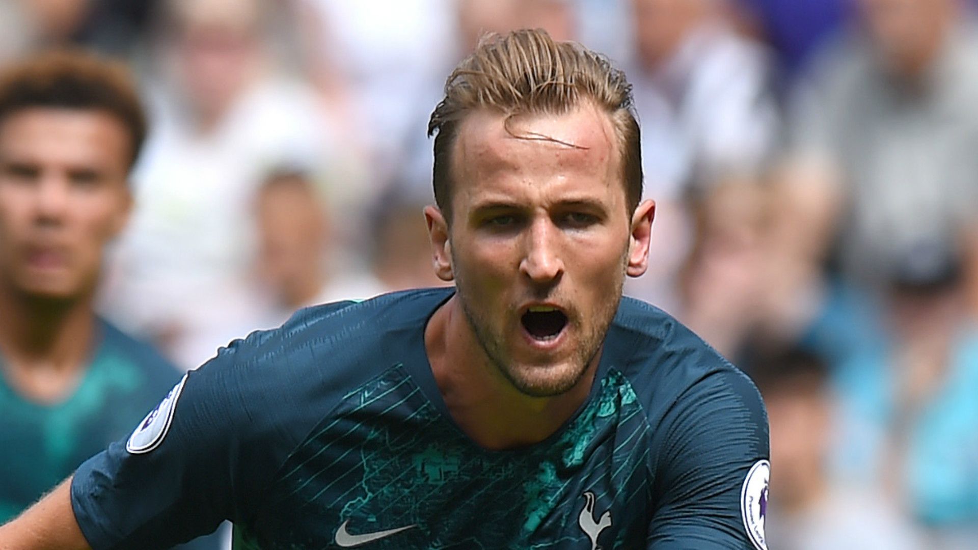 Harry Kane Tottenham 2018-19