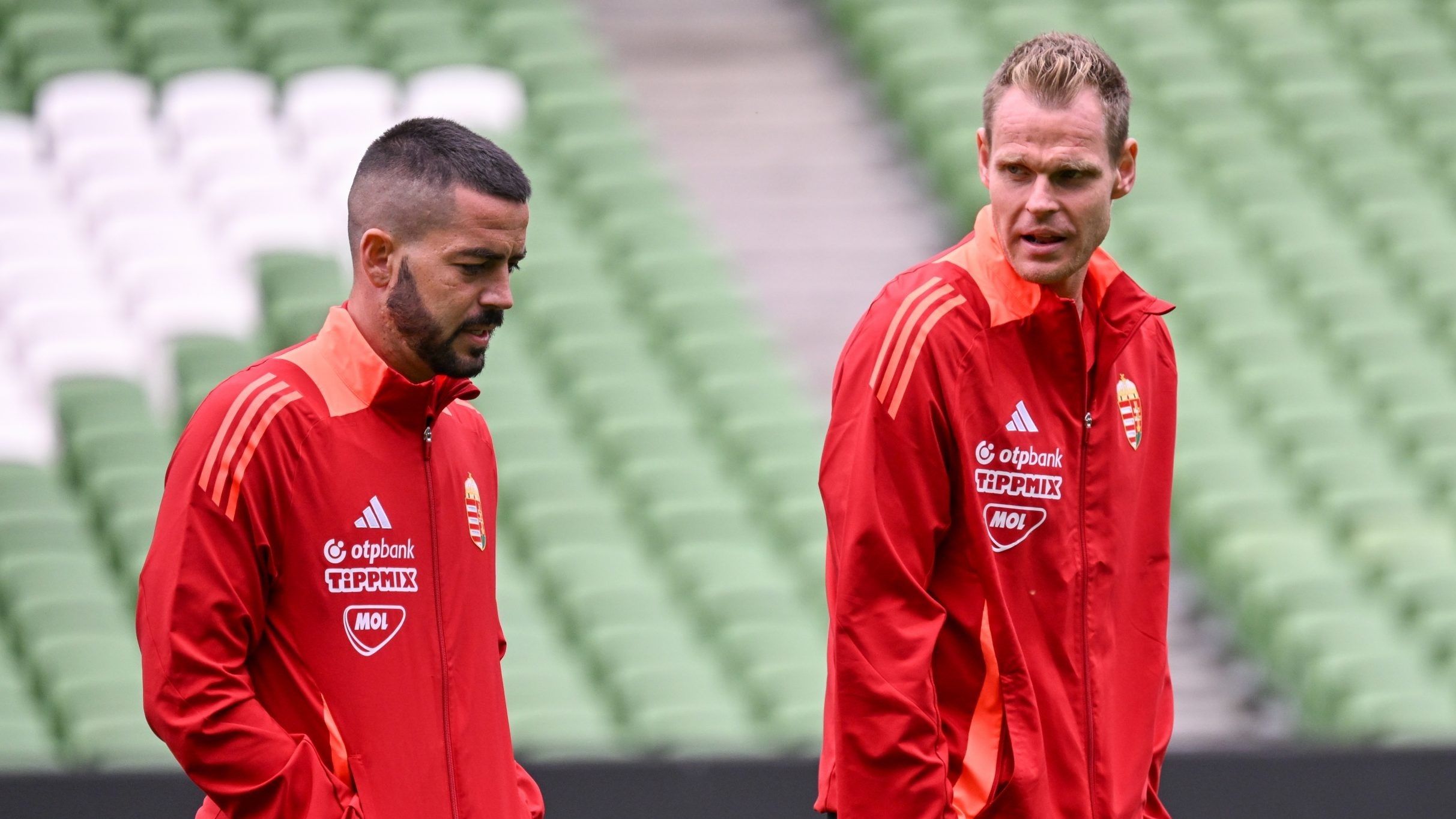 Botka Endre Dibusz Dénes