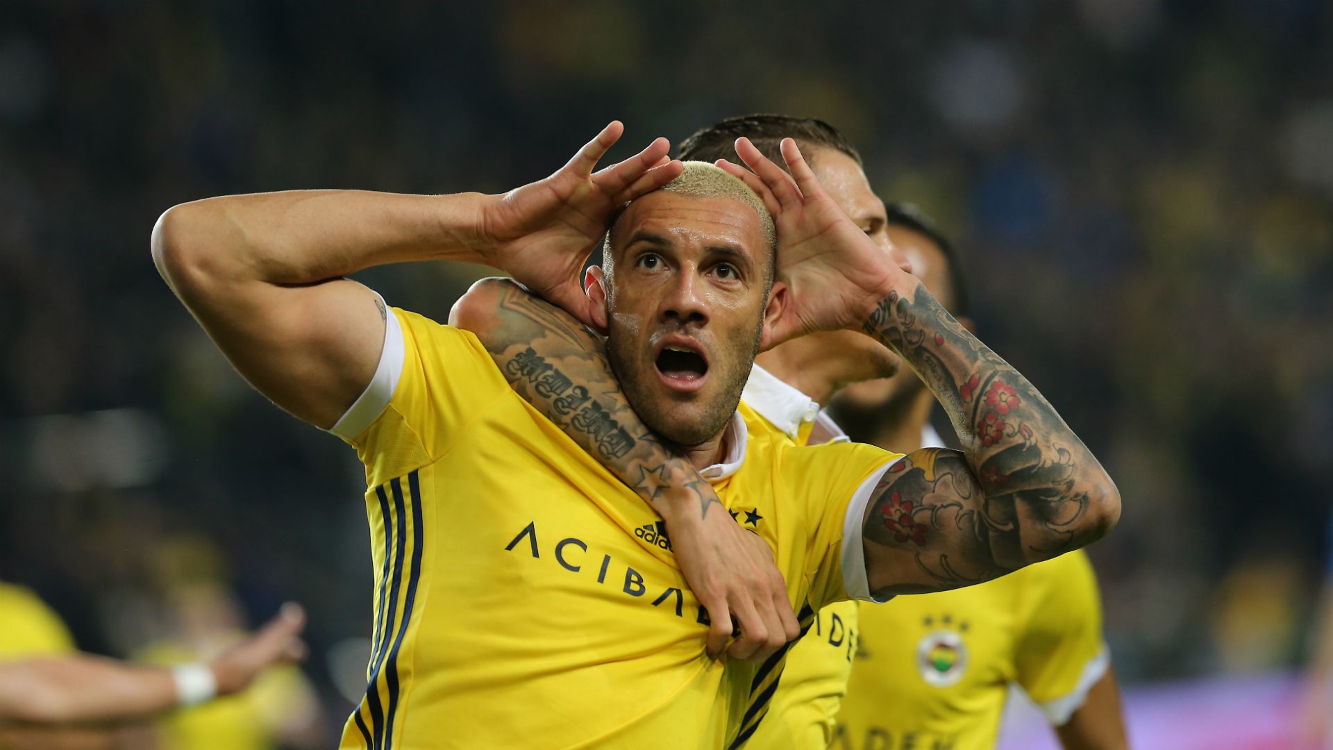 Fernandao Fenerbahce 01202018