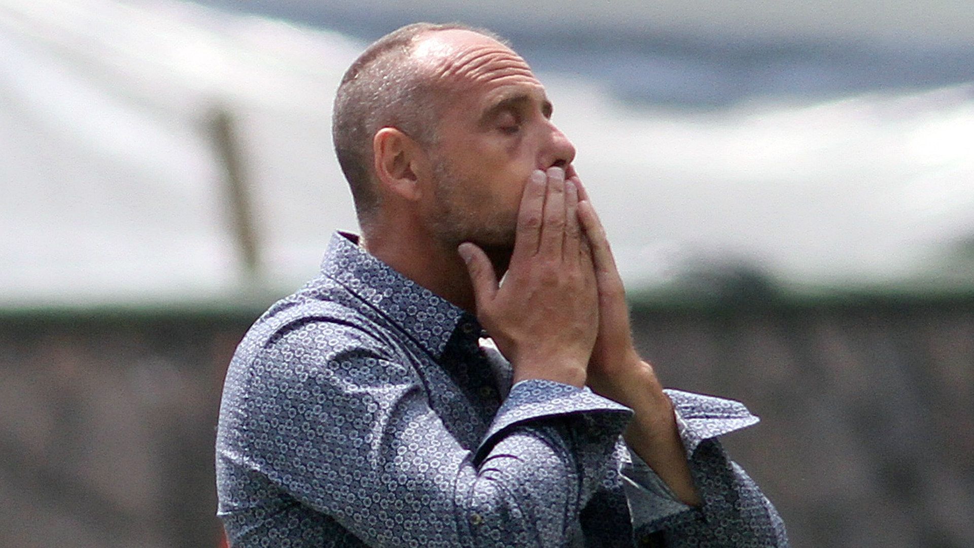 Javier Torrente Leon