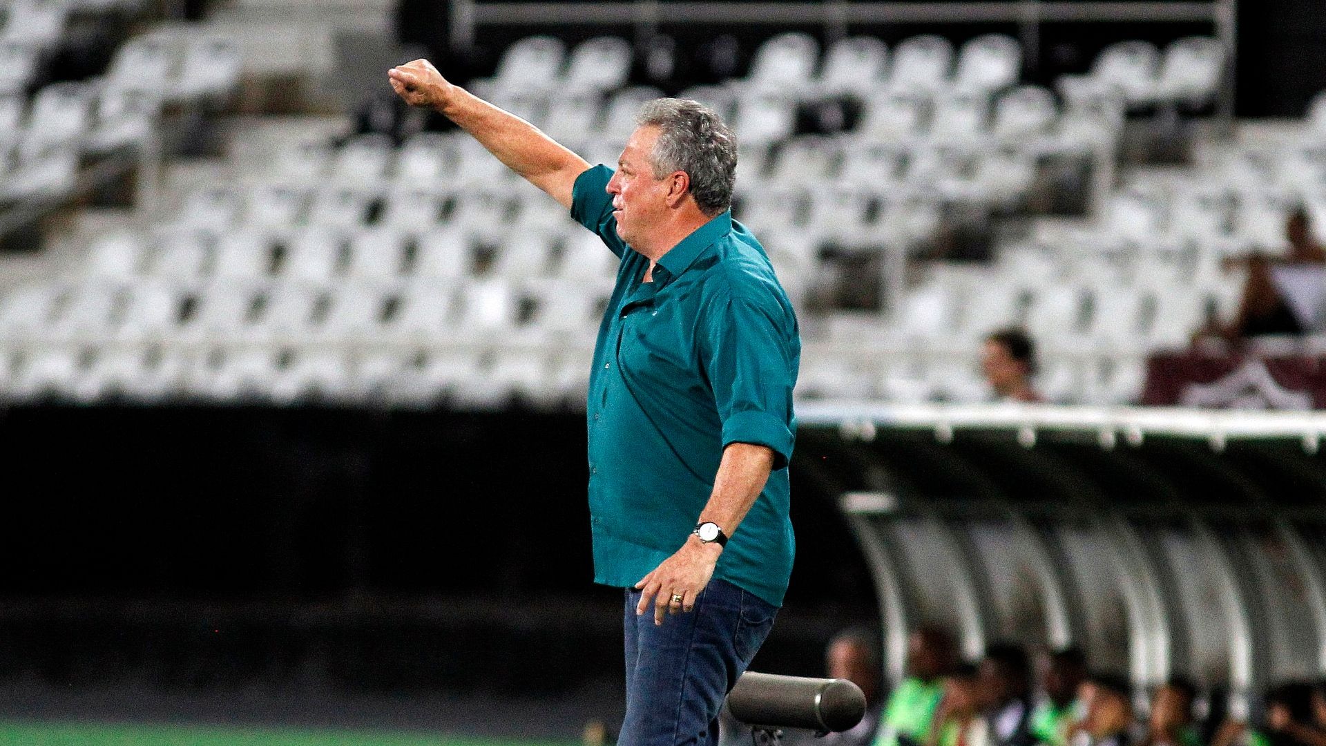 Abel Braga Fluminense x Botafogo Brasileirão Estadio Nilton Santos 04 11 17