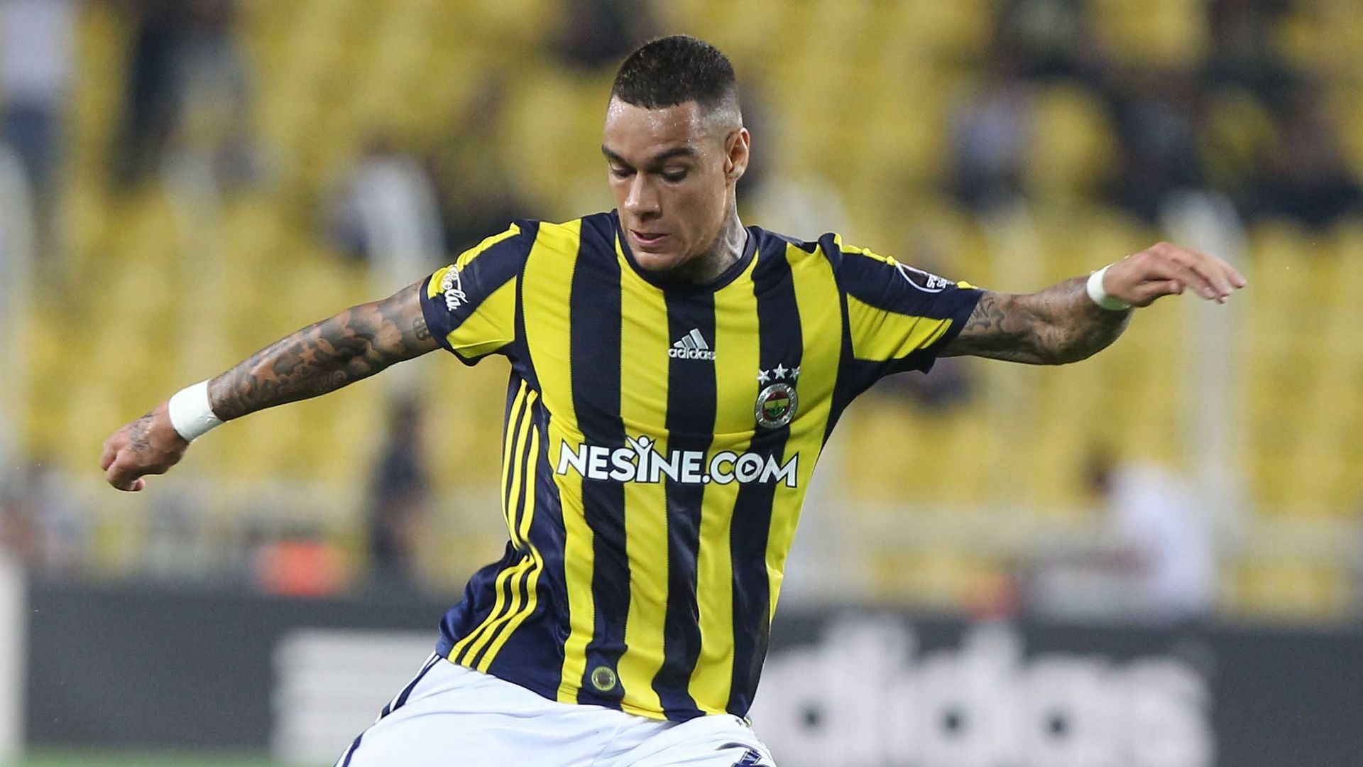 Gregory van der Wiel Fenerbahce
