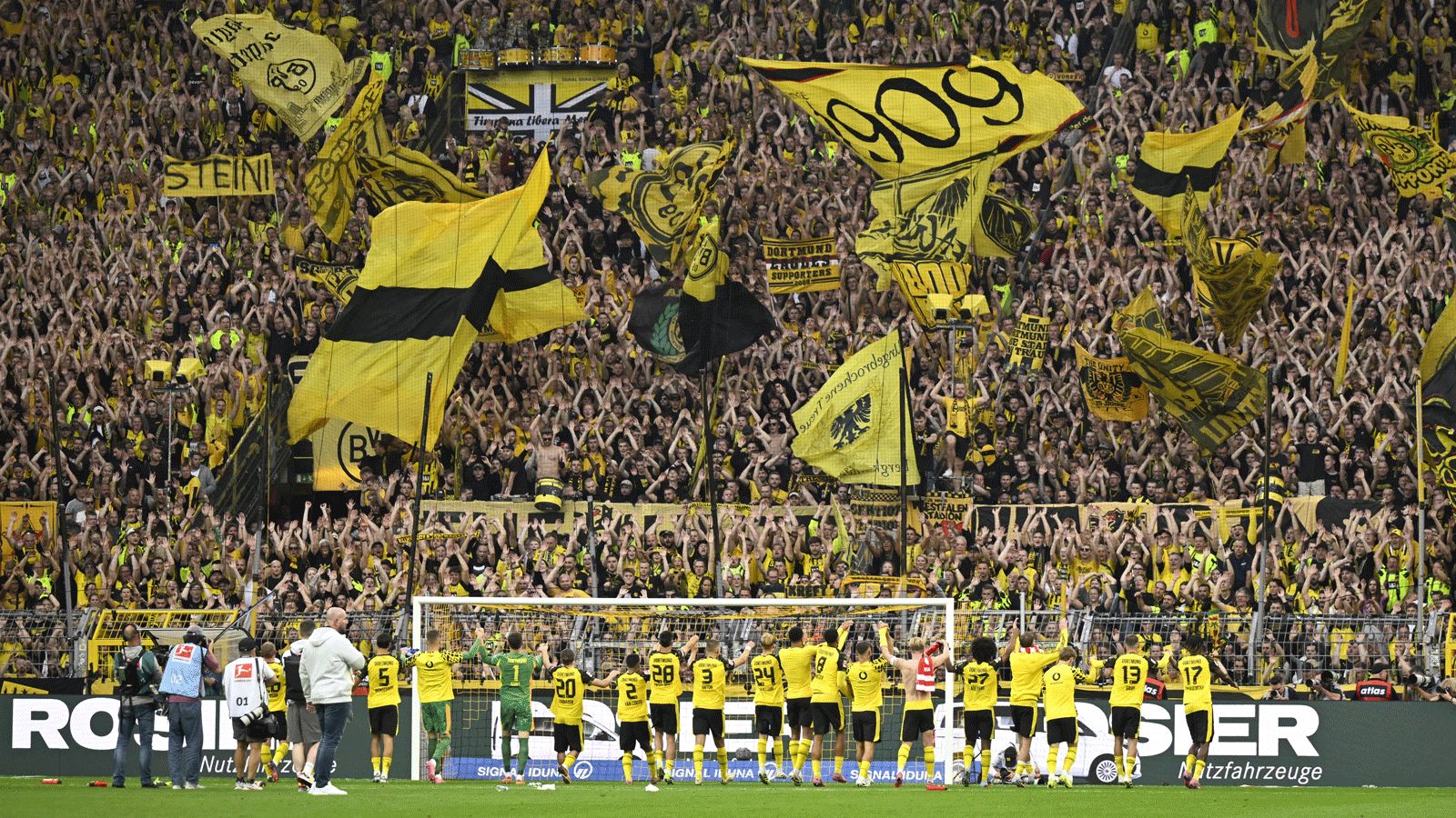 BVB, Fans