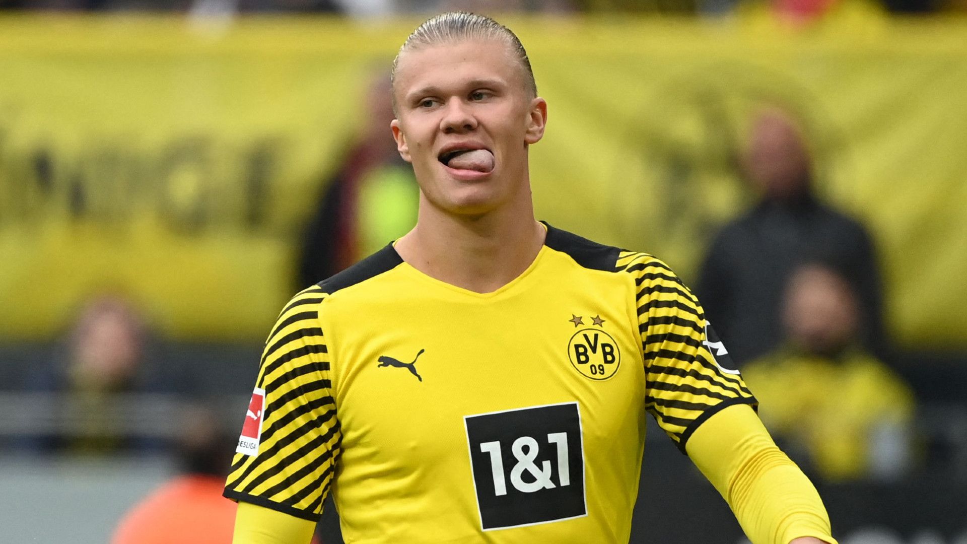 ERLING HAALAND BORUSSIA DORTMUND