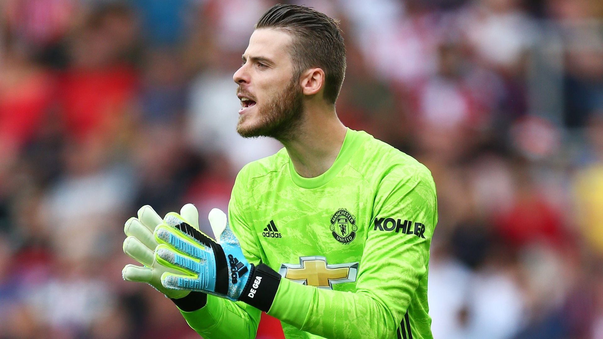 DaviddeGea - Cropped