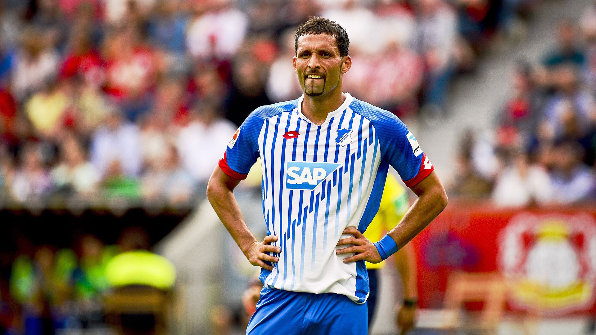Kevin Kuranyi 1899 Hoffenheim Bundesliga 08152015