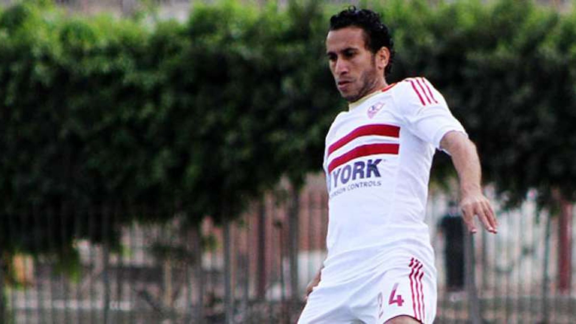 محمد سعيد قطة الزمالك