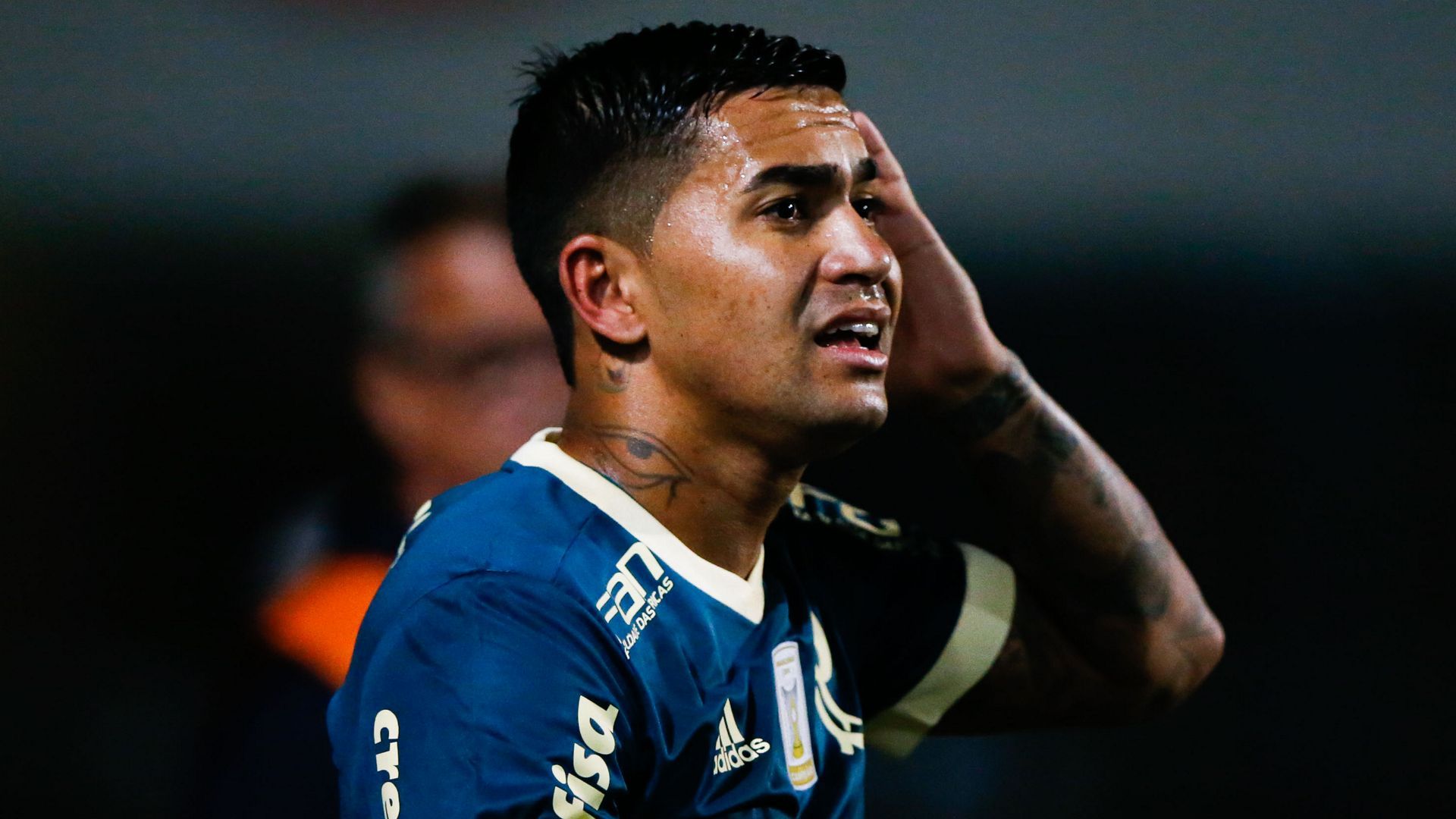 Dudu Palmeiras Bahia Brasileirao Serie A 12102017