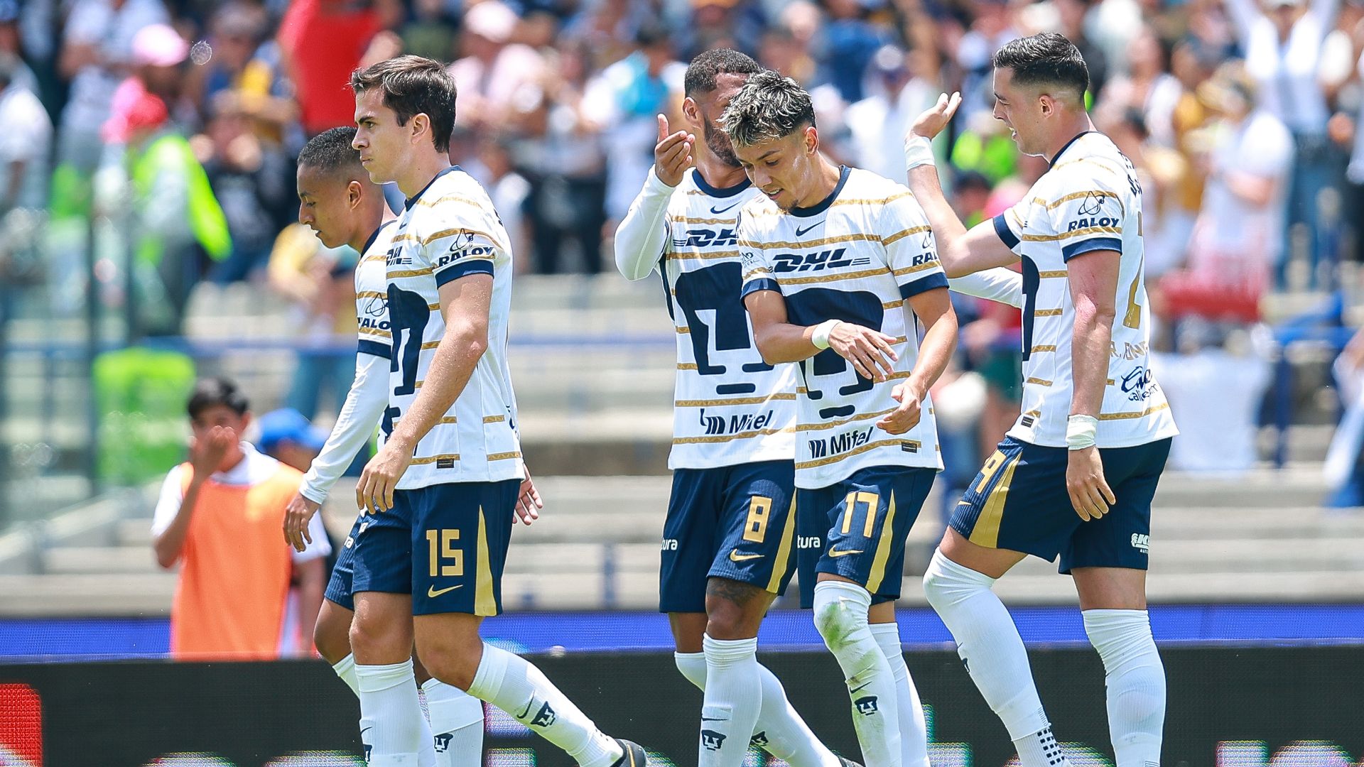Pumas celebración Apertura 2024 Liga MX