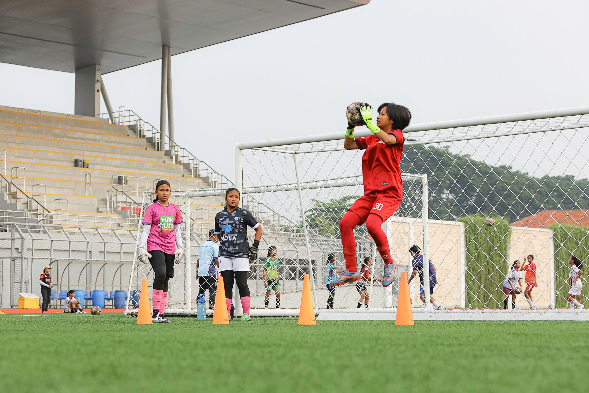 MilkLife Shakers & HydroPlus Strikers