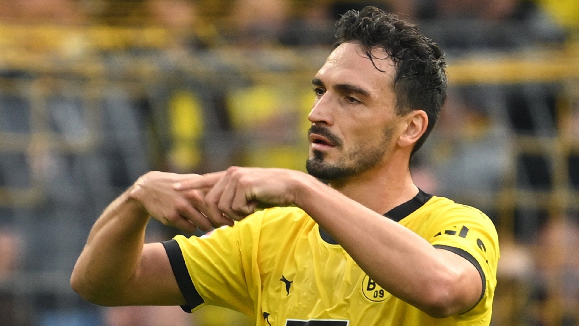 Mats Hummels Borussia Dortmund 2023-24