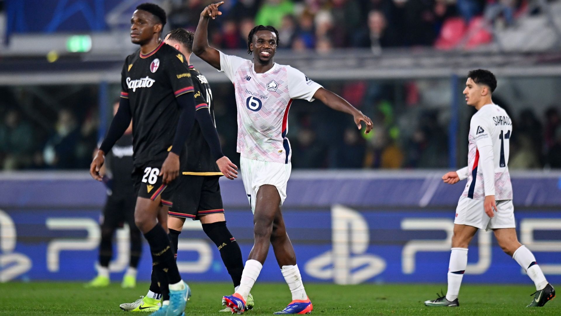 Bologna Lille Mukau 2024