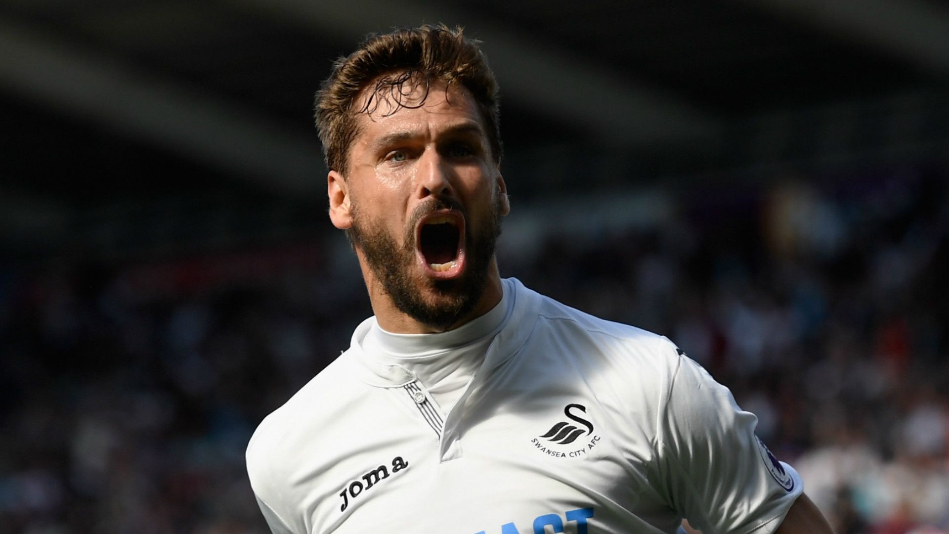 Fernando Llorente Swansea City