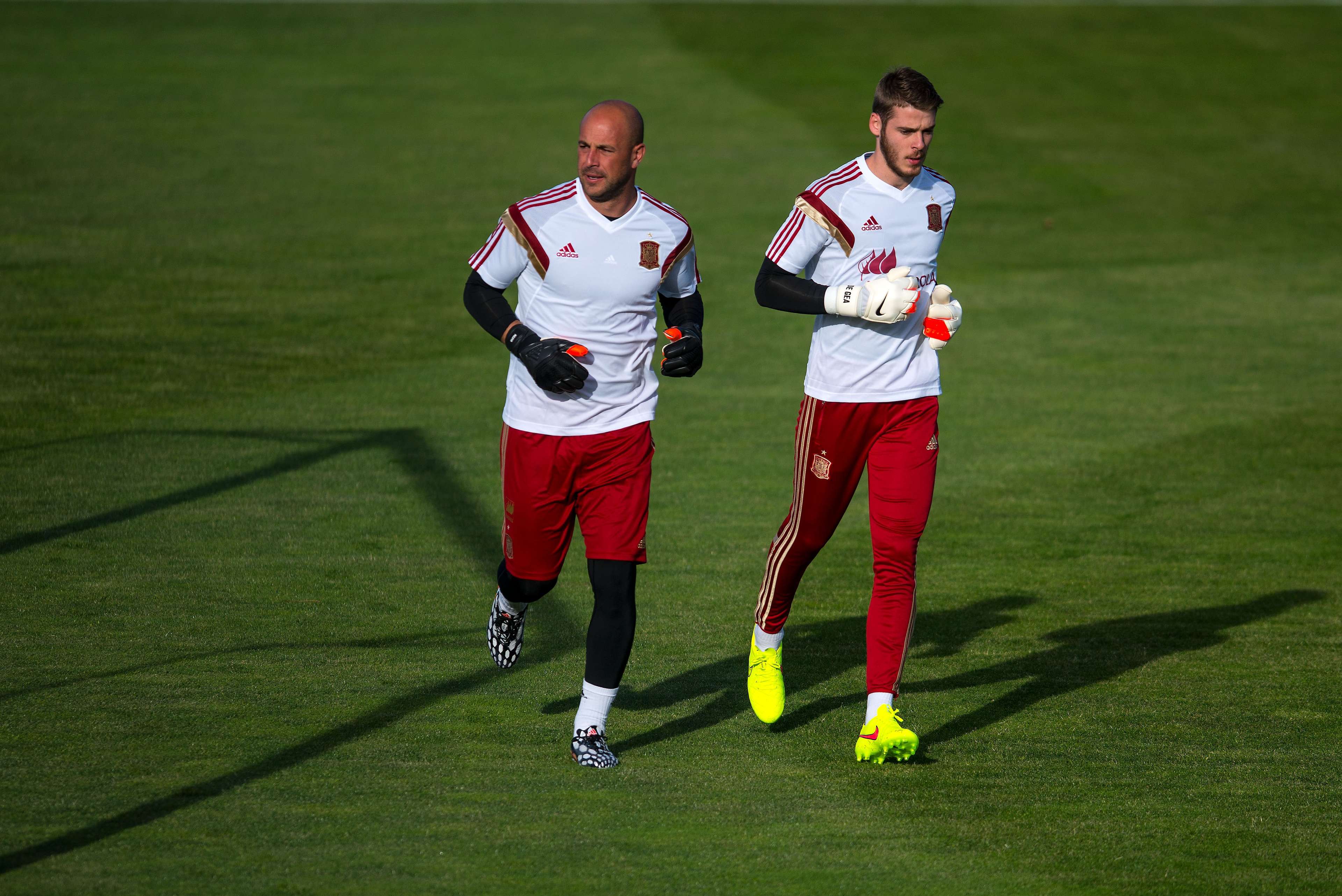 Pepe Reina and David de Gea