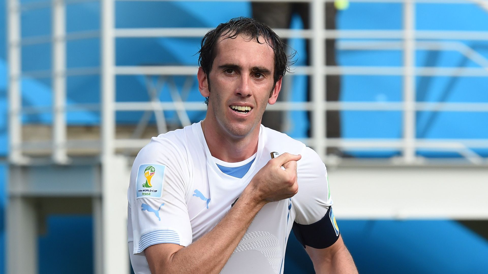 Diego Godín Profile Photo