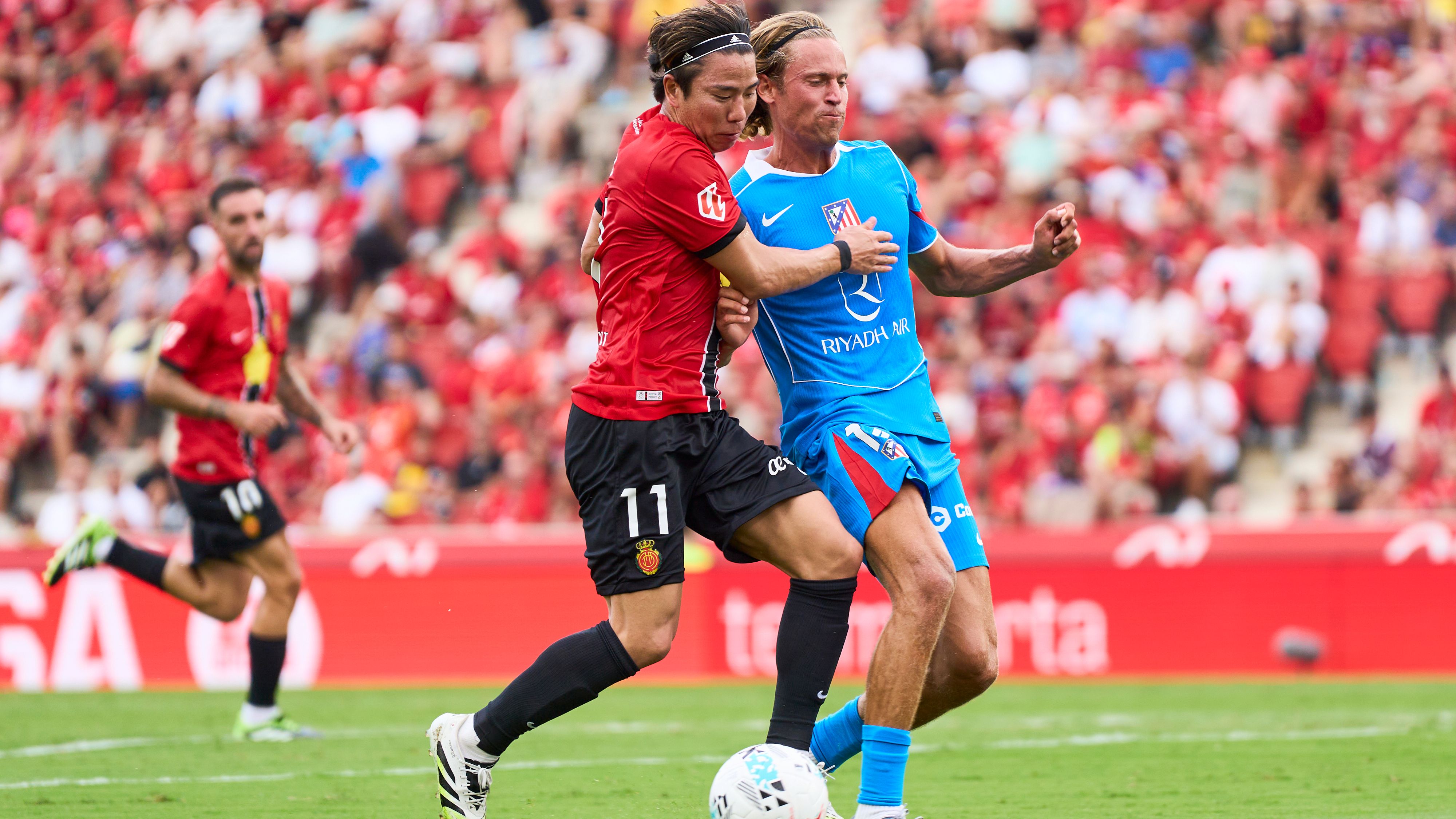 asano marcos llorrente