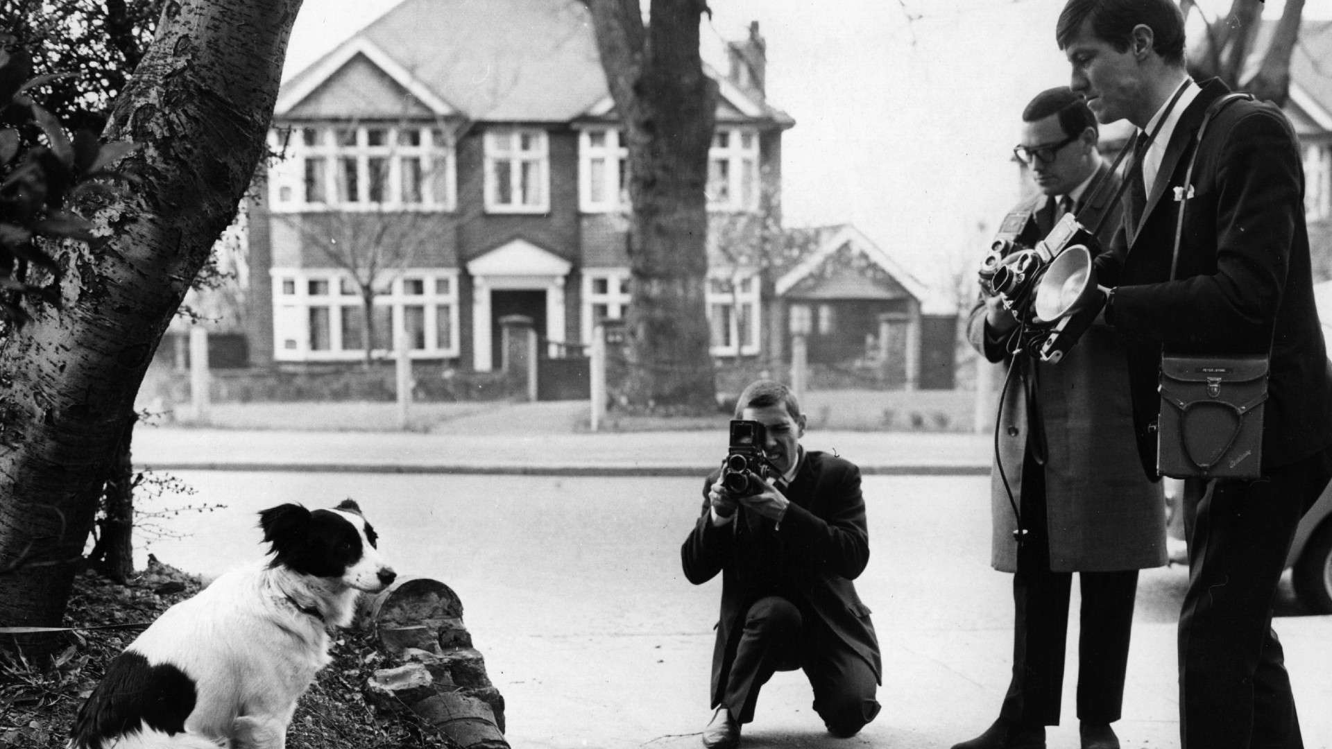 Pickles Jules Rimet dog 1966