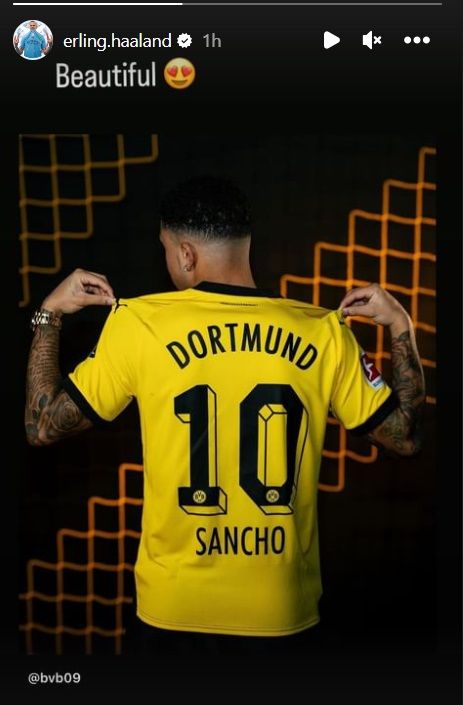 Erling Haaland status