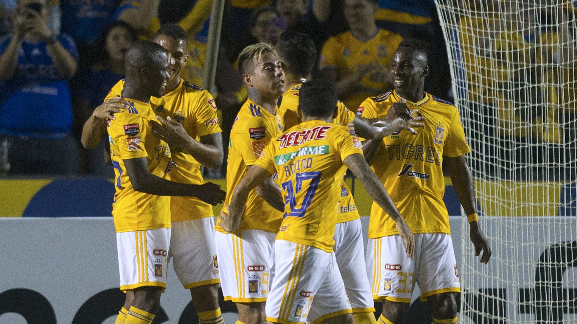 Tigres