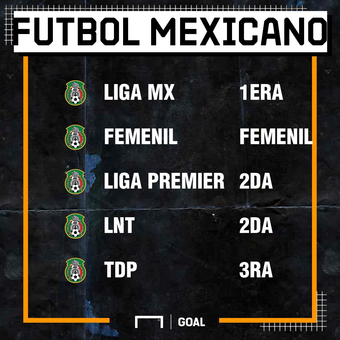 Divisiones Futbol Mexicano