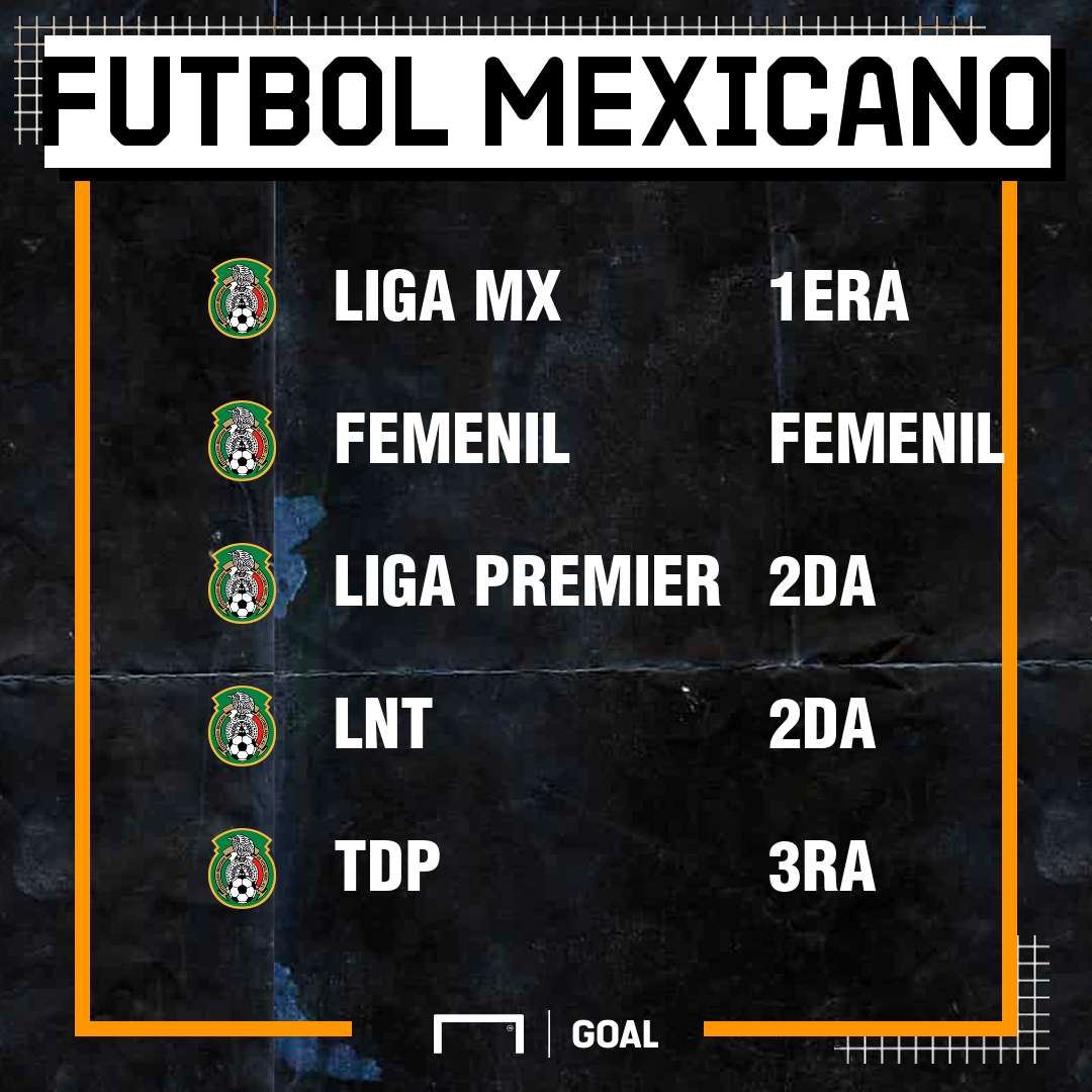 Divisiones Futbol Mexicano