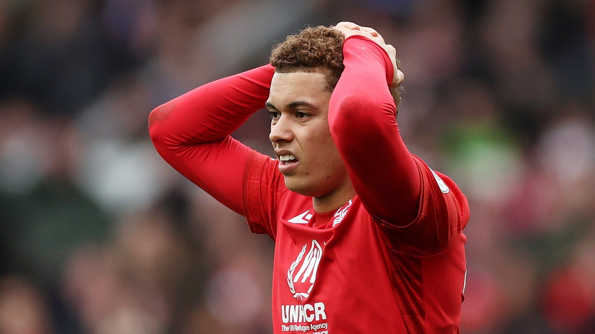 Brennan Johnson Nottingham Forest 2022-23