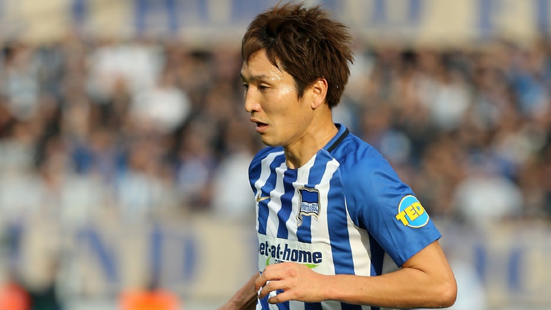 2018-01-19 Genki Haraguchi