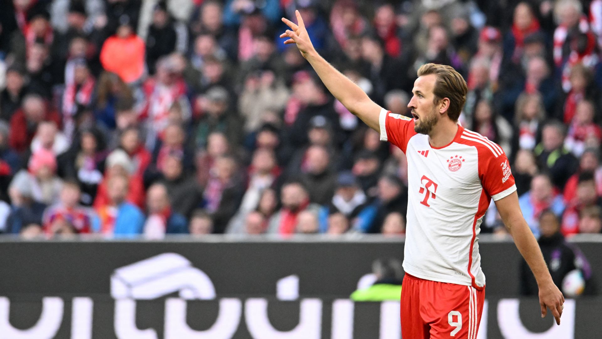 Harry Kane Bayern Munich 2023-24