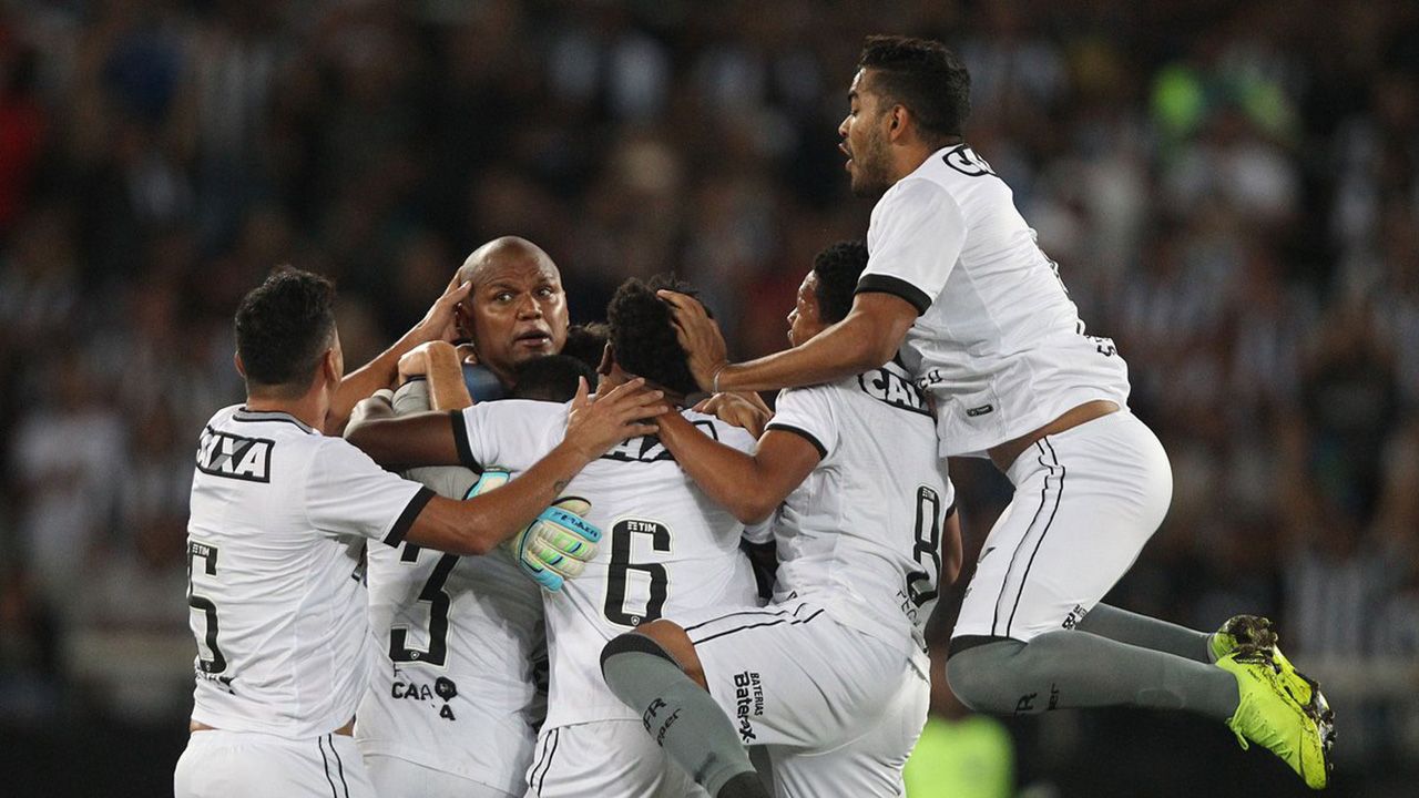 Jefferson Botafogo Paraná Brasileirão Série A 26112018