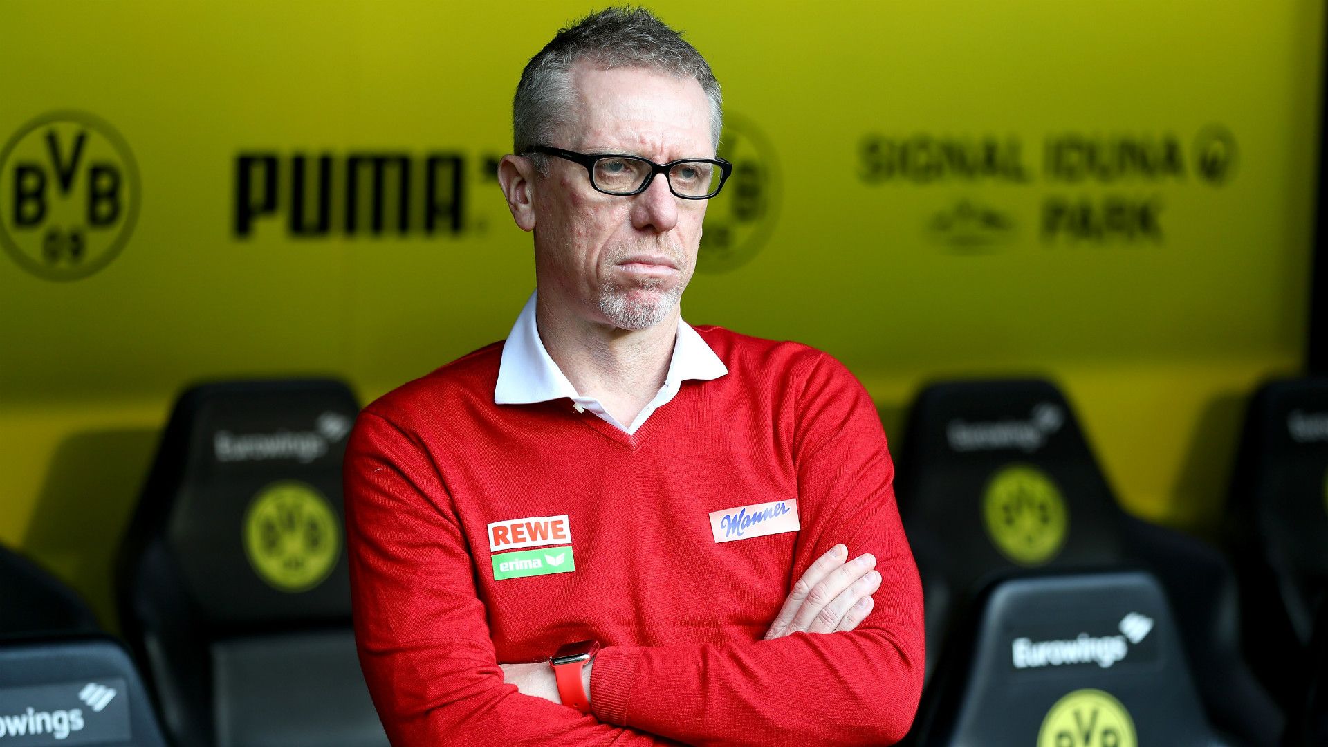 Peter Stoger Borussia Dortmund