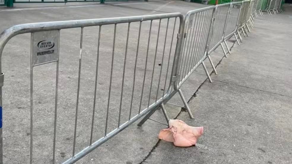Cabeça de porco, Allianz Parque, 2025