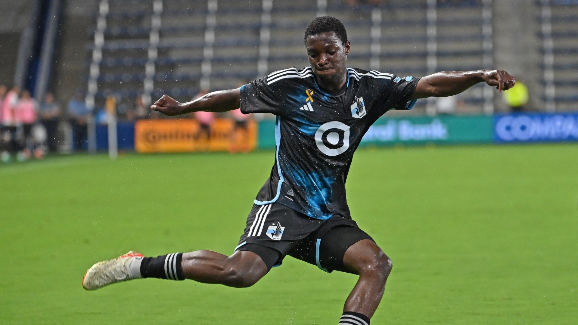 Minnesota Starry Night kit