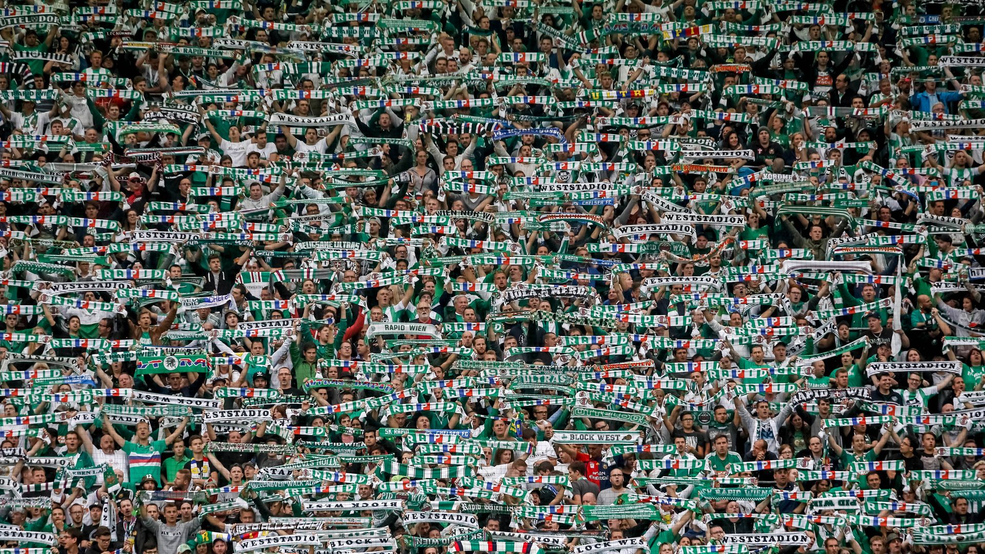 Rapid Wiens Fans 16072016