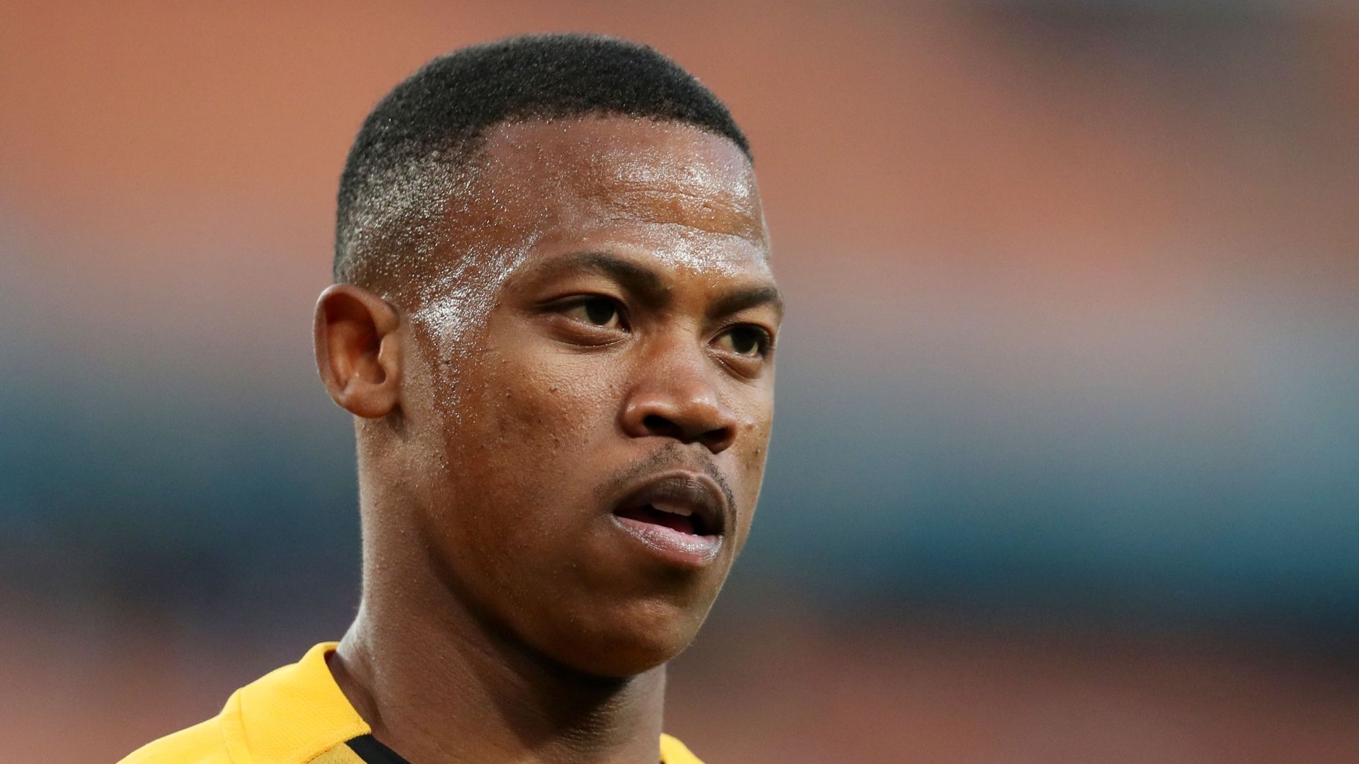 Ashley du Preez, Kaizer Chiefs