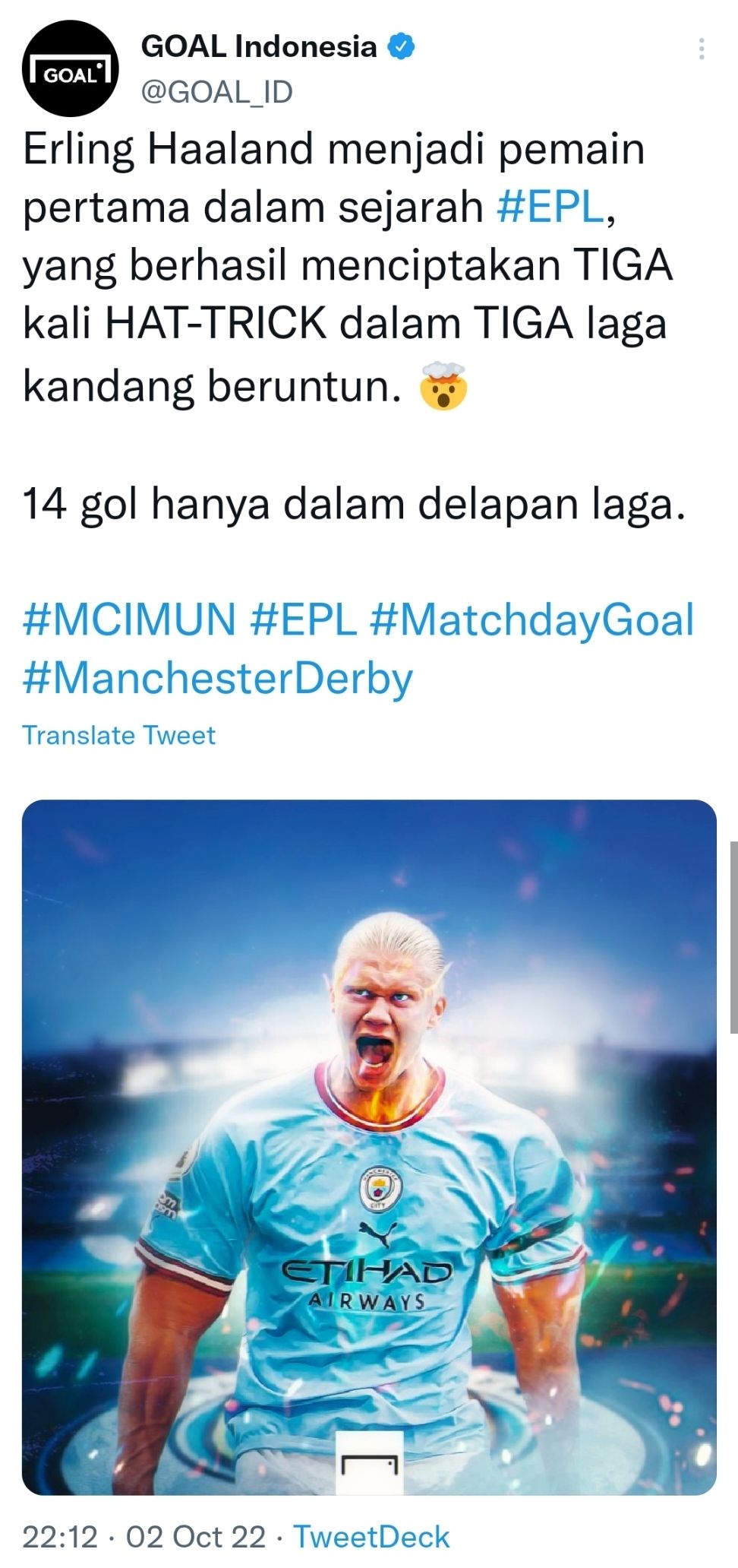 Erling Haaland Manchester City